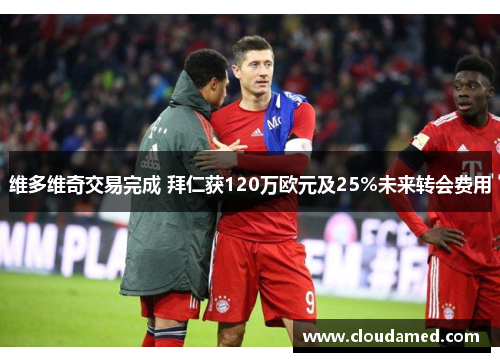 维多维奇交易完成 拜仁获120万欧元及25%未来转会费用