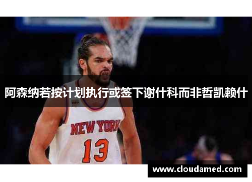 阿森纳若按计划执行或签下谢什科而非哲凯赖什